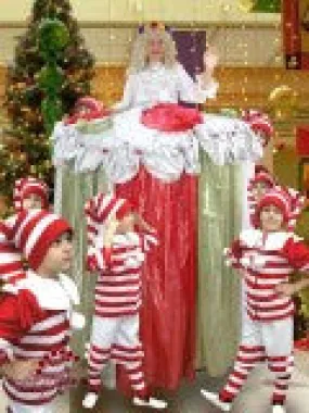 Mother Ginger - P0212